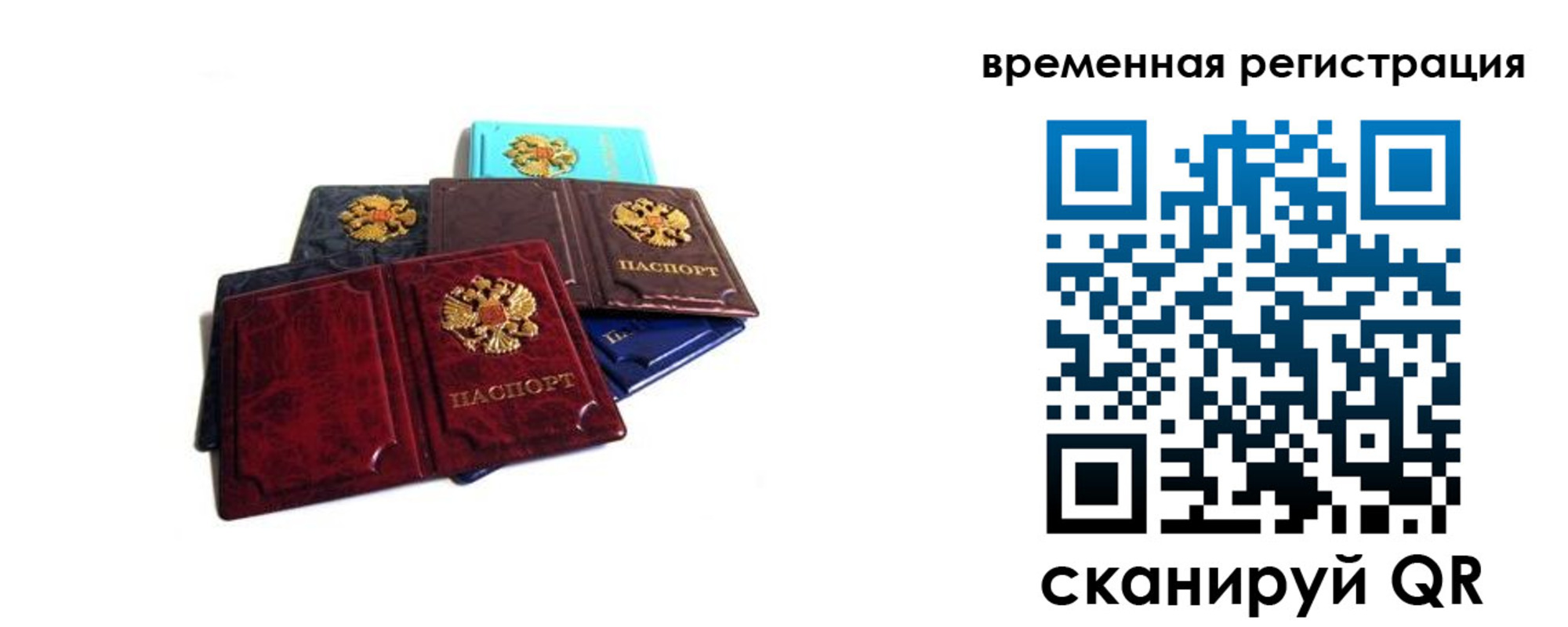 прописка гарантия в Советске